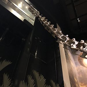 Hall of Ancient Life