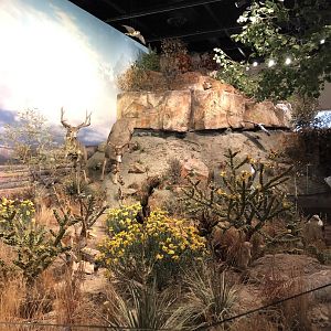 Hall of Natural Wonders