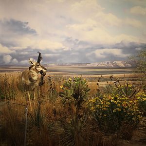 Hall of Natural Wonders