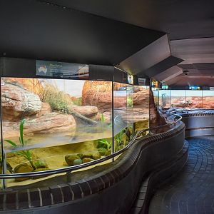 Reptile House - Olive Python Enclosure