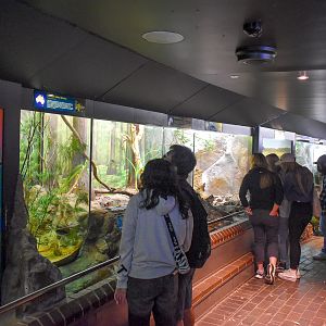 Reptile House - General View