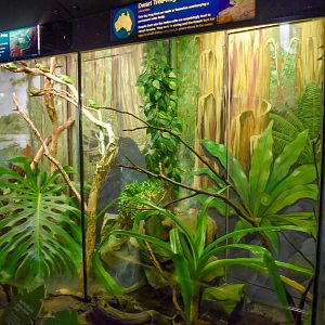 Reptile House - Frog Enclosures