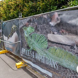 Opening 2023: New Reptile and Amphibian Conservation Centre