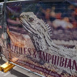 Opening 2023: New Reptile and Amphibian Conservation Centre