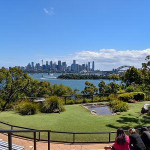 Free-Flight Bird Show Stadium and View