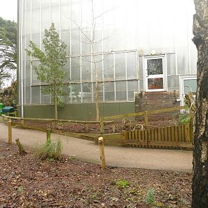 Croc Swamp, 22 December 2022