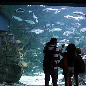 Tank 20  - The Charente sanctuary