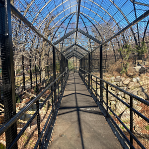 Raptor Ridge Walkway