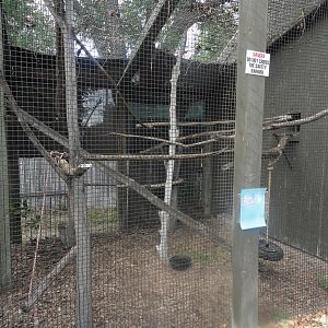 Outside Squirrel Monkey Exhibit