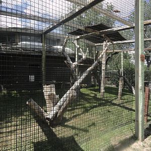 Red Ruffed Lemur & Guereza Colobus Exhibit (Rotate)