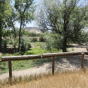 Old Waterbuck Yard - Going to be added to Plains Zebra Exhibit