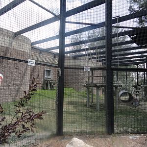 Chimpanzee Exhibit