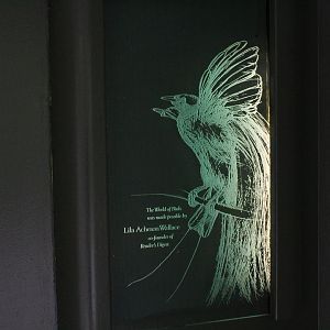 WOB 50th - Entry Sign