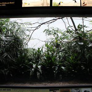 WOB 50th - Maleo Exhibit