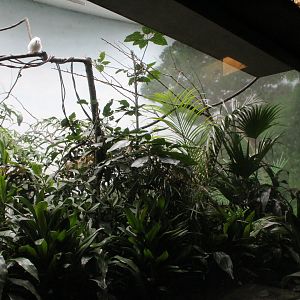 WOB 50th - Right side of Maleo Exhibit