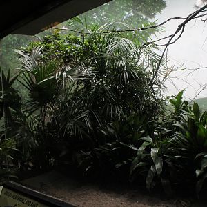 WOB 50th - Left Side of Maleo Exhibit