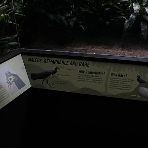 WOB 50th - Maleo Signage Part 1