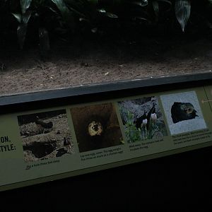 WOB 50th - Maleo Signage Part 2