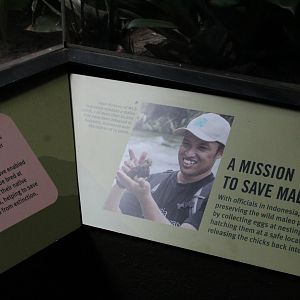 WOB 50th - Maleo Signage Part 3