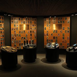 WOB 50th - Bird Mortality Display