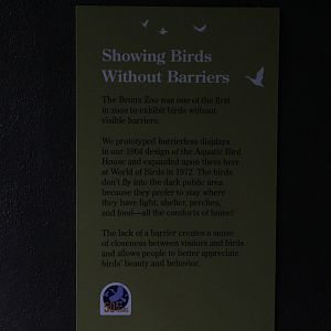 WOB 50th - Barrier-Less Exhibitry Signage