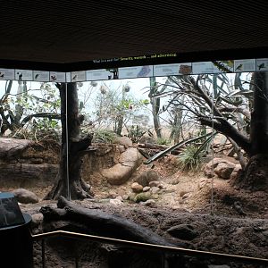 WOB 50th - African Scrubland Exhibit