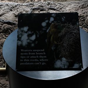 WOB 50th - Weaver Signage