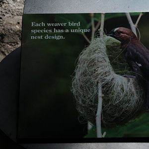 WOB 50th - Weaver Signage