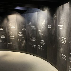 WOB 50th - Extinct Bird Memorial Part 1