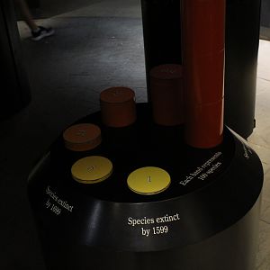 WOB 50th - Extinct/Endangered Birds Display
