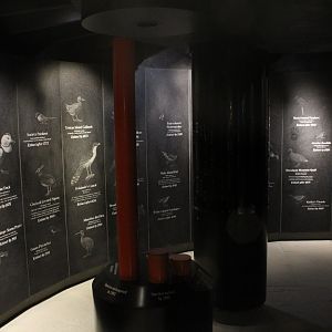 WOB 50th - Extinct/Endangered Birds Display