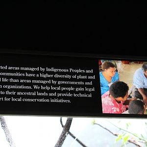 WOB 50th - Indigenous Conservation Signage