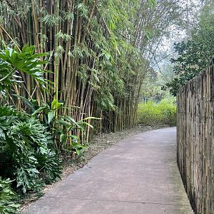 Zoo Path