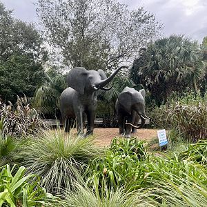 Zoo Art