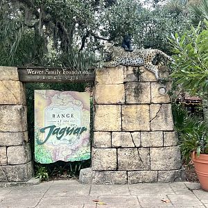 Range of the Jaguar exhibit complex