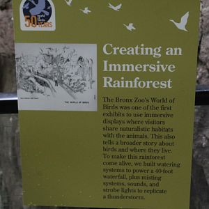 WOB 50th - Walkthrough Design Signage