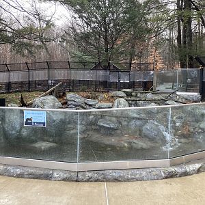 North American River Otter Exhibit