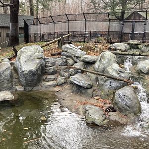 North American River Otter Exhibit