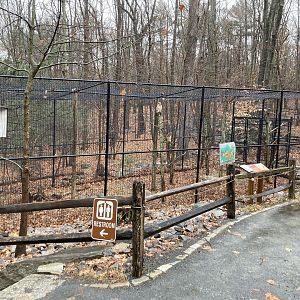 Red Tailed Hawk Aviary