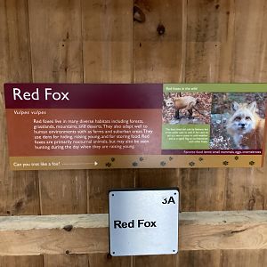 Red Fox Signage