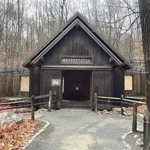Red Fox Lookout Shelter