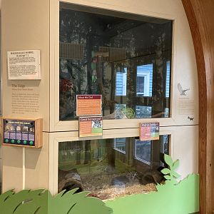 Exhibits for Great Horned Owl and Virginia Opossum