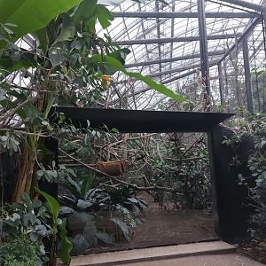 S-American primate exhibit