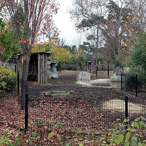 Lowland tapir and capybara exhibit