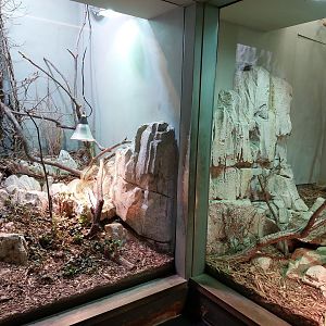 European vivarium