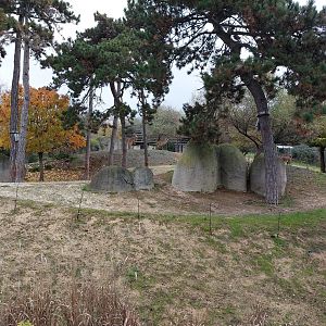 Roan antelope exhibit