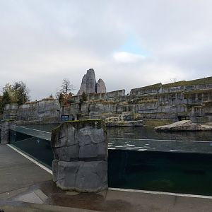 Patagonian sea lion and fur seal exhibit