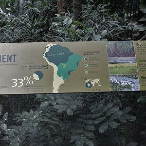 WOB 50th - Tropical American Forest Signage Part 1