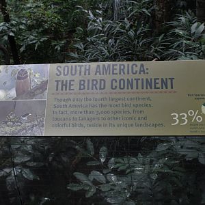 WOB 50th - Tropical American Forest Signage Part 2