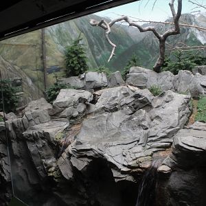 WOB 50th - Montane Exhibit